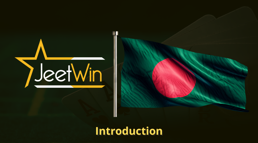 কিভাবে JeeTwin ব্যবহার করে আমার টাকা নির্যাতের পরিমাণ বাড়াতে পারি?
